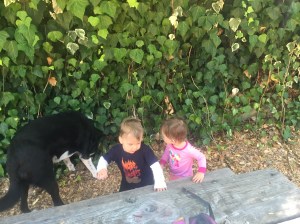 jackfionaandbillypark