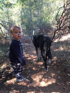 jackonthetrailwbilly